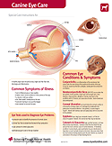 dg-eyecare