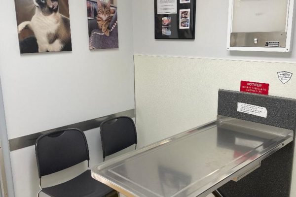 One of our exam rooms where you and your pet are made to feel comfortable & at home.