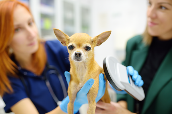 image for A Shared Mission: Protecting Pets
